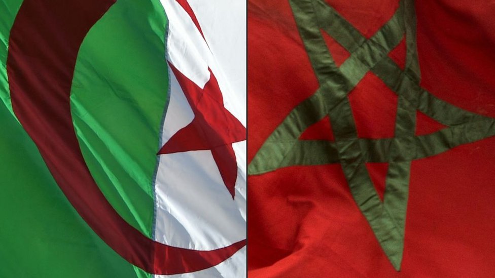 علما المغرب والجزائر