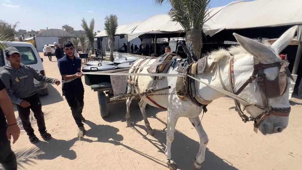 عربة يجرها حمار، تحمل أوانٍ ضخمة